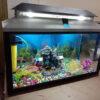 Aquariums - Image 4