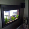 Aquariums - Image 3