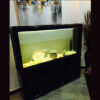 Aquariums